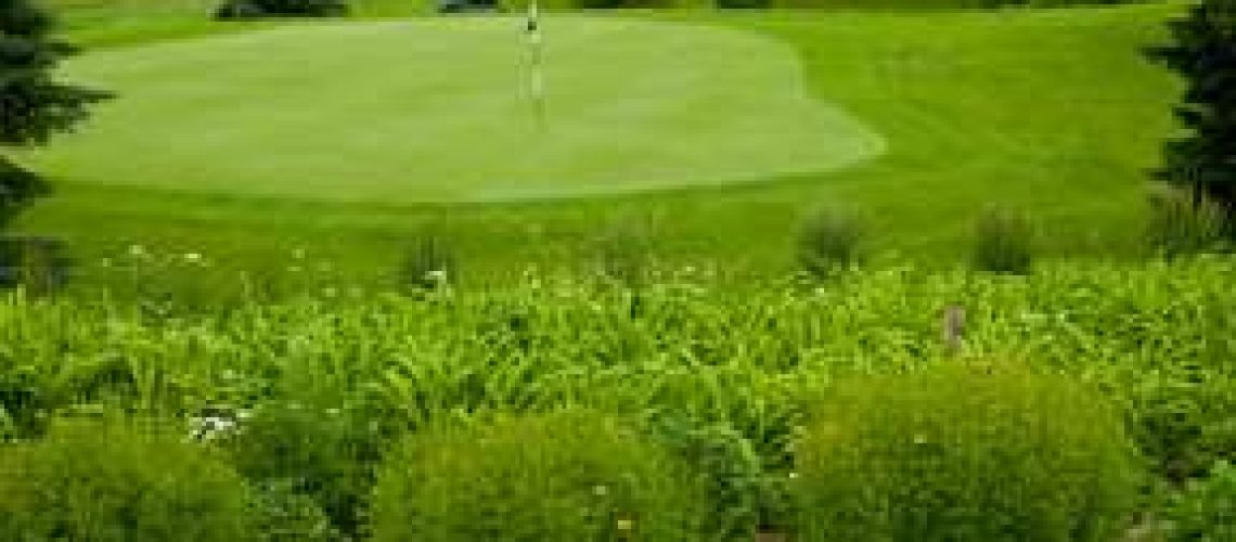 Dahlgreen-hole-with-flowers